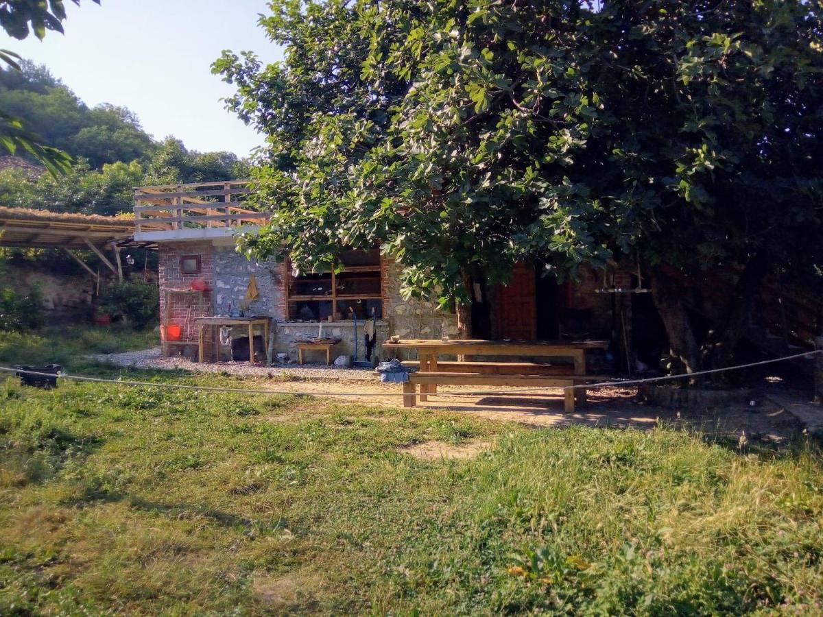 The House In The Village Pellumbas Exterior photo