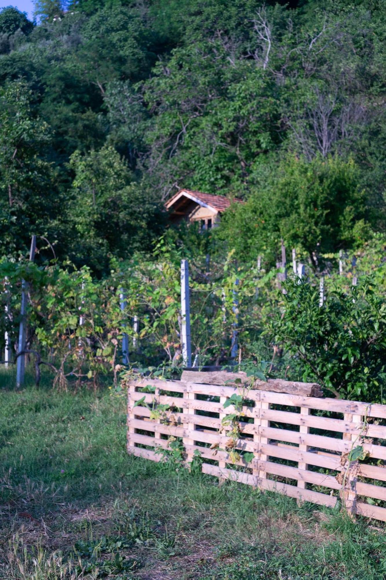 The House In The Village Pellumbas Exterior photo